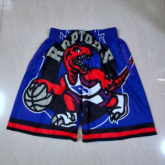 Toronto Raptors Mitchell&Ness Purple Basketball Shorts