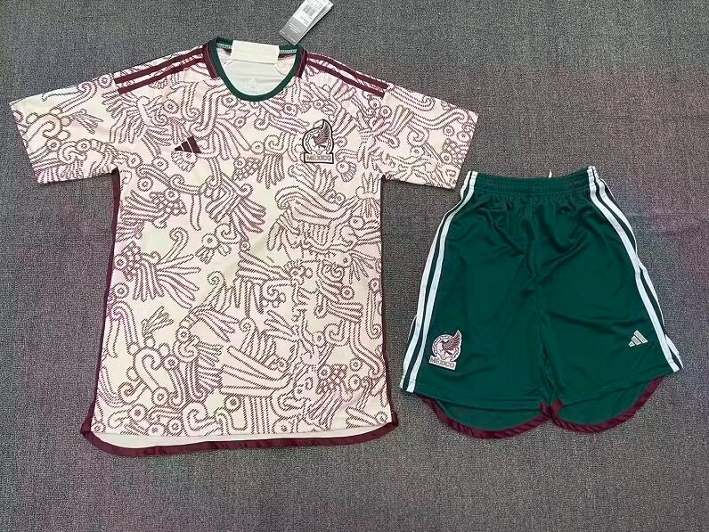 Mexico 2022 World Cup Away Soccer Jersey