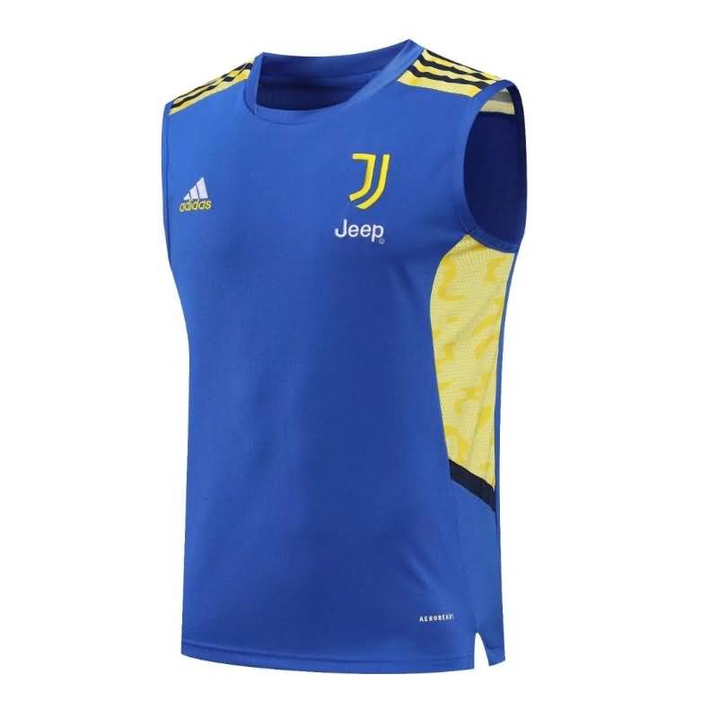 AAA(Thailand) Juventus 22/23 Blue Vest Soccer Jersey