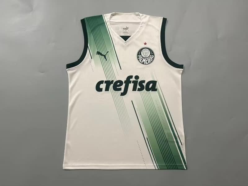 AAA(Thailand) Palmeiras 2023 Training Vest Soccer Jersey 02