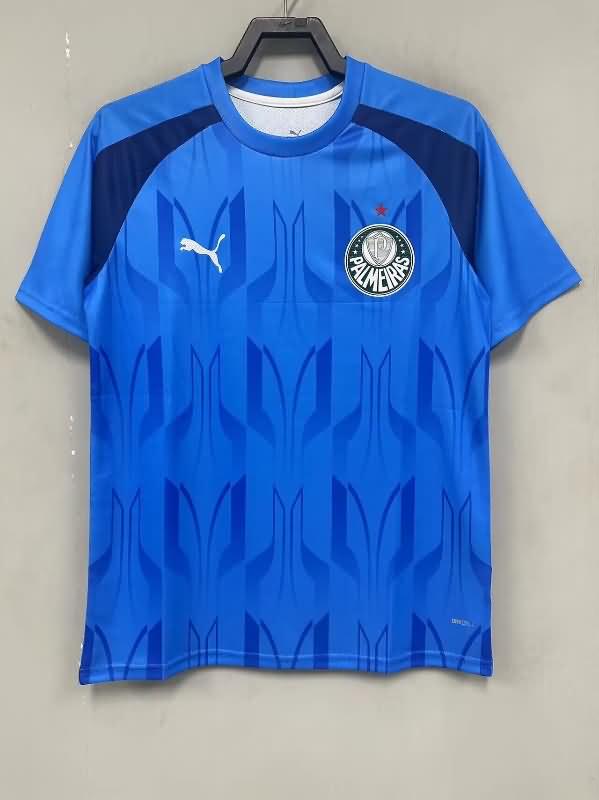 AAA(Thailand) Palmeiras 2024 Training Soccer Jersey