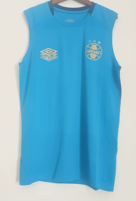 AAA(Thailand) Gremio 2025 Training Vest Soccer Jersey