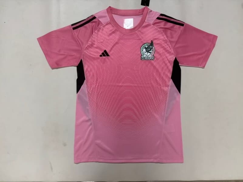 AAA(Thailand) Mexico 2026 Goalkeeper Pink Soccer Jersey 02