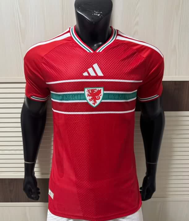 AAA(Thailand) Wales 2026 Home Soccer Jersey (Player)