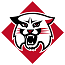 Davidson Wildcats